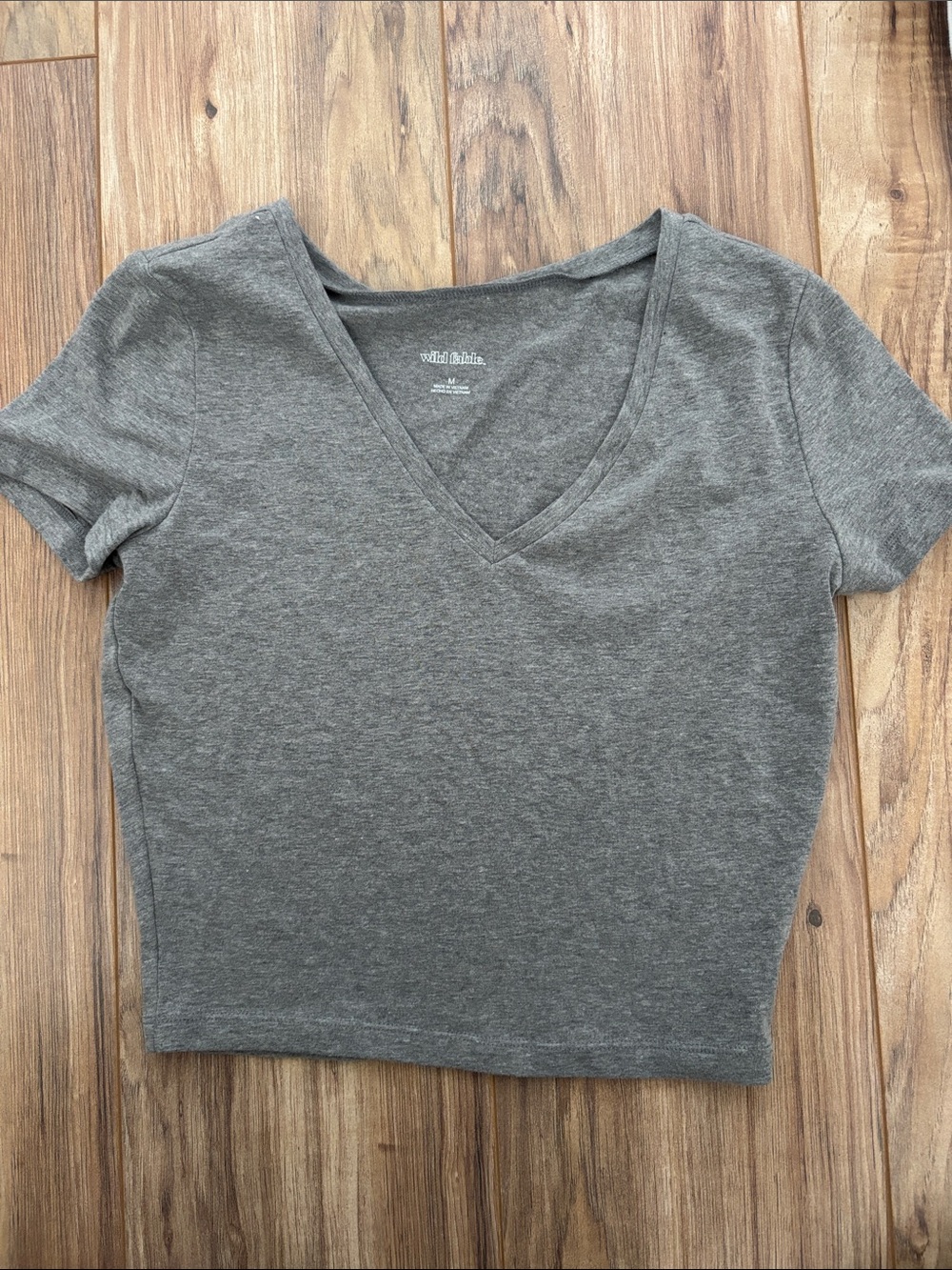 Wild Fable V-Neck Cropped Tee